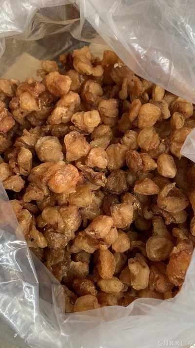 spice_26311_7dd9d51a_3.jpg