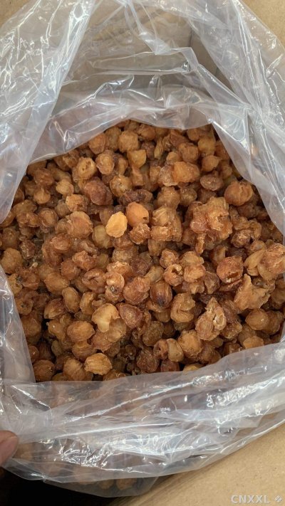 spice_26312_1ab3d057_3.jpg