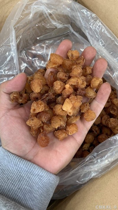 spice_26312_5ceb955c_2.jpg