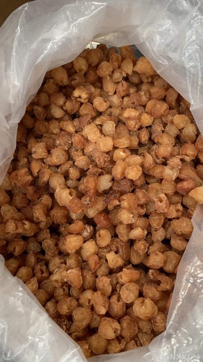 spice_26313_77678a0d_3.jpg