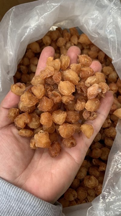 spice_26313_b6ef38ec_1.jpg