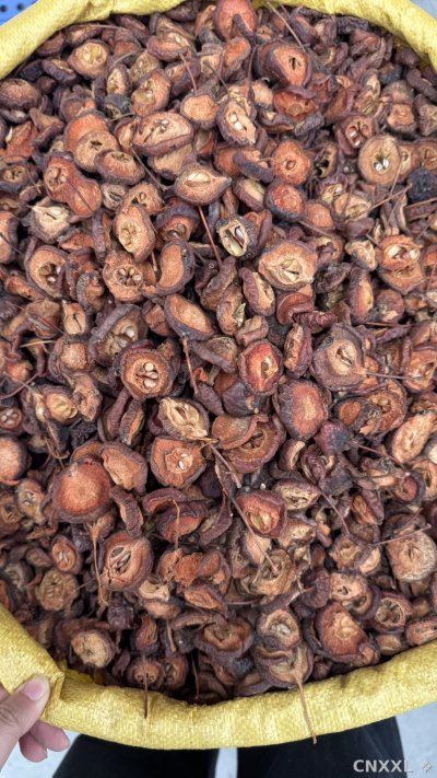 spice_26315_fc7b5ddf_3.jpg