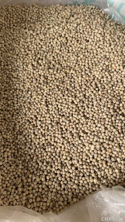 spice_26333_9a80e034_3.jpg