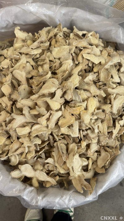 spice_26343_565de865_3.jpg