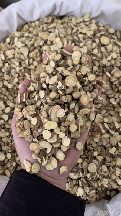 spice_26345_19e7eb87_1.jpg
