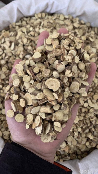 spice_26345_9c413e5e_2.jpg