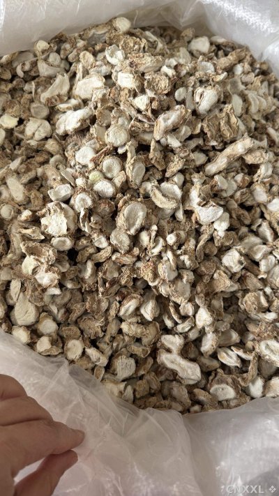 spice_26353_4c8df391_3.jpg