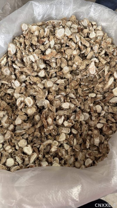 spice_26355_e677c38f_2.jpg