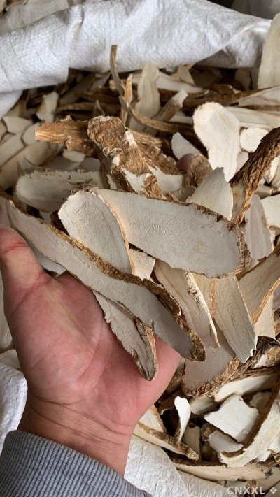 spice_26360_1eab36f8_1.jpg