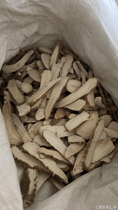 spice_26360_aa1c4dbe_2.jpg