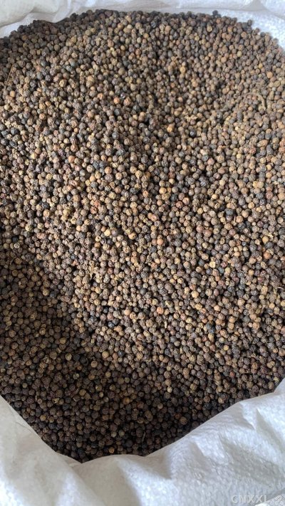 spice_26365_94f1794d_3.jpg