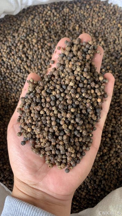 spice_26365_ecf31f55_2.jpg