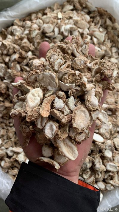 spice_26366_08d0e43f_1.jpg