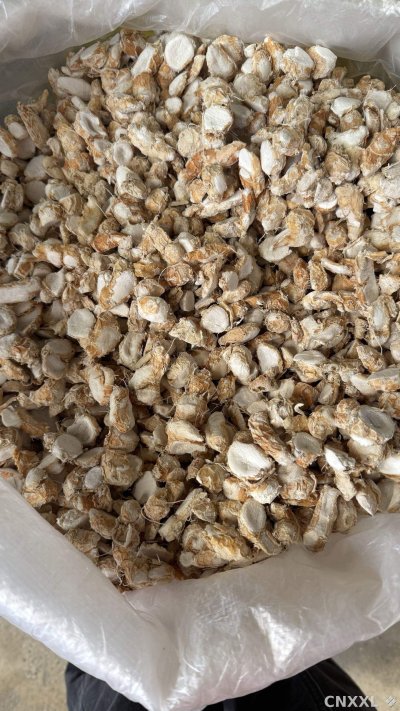 spice_26373_913f707b_3.jpg