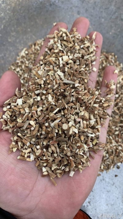 spice_26375_4f6cb03a_1.jpg