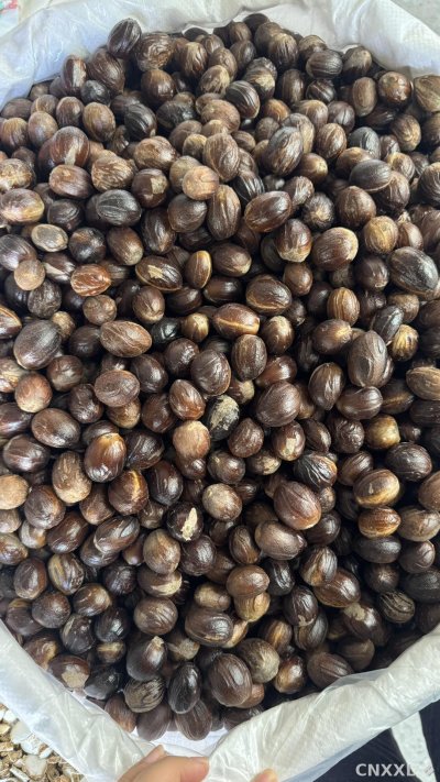 spice_26380_4599d97b_3.jpg