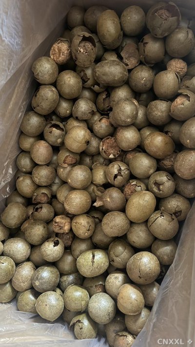 spice_26398_095f93a3_2.jpg
