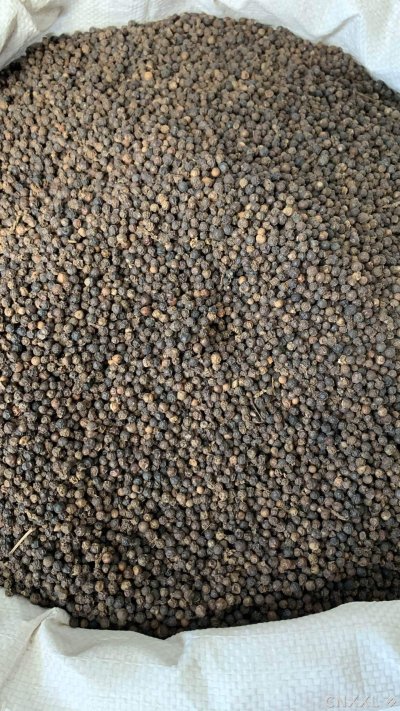 spice_26403_4dbbd7bb_3.jpg