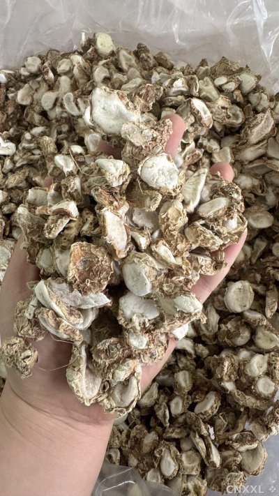 spice_26414_e3ec2eb0_1.jpg