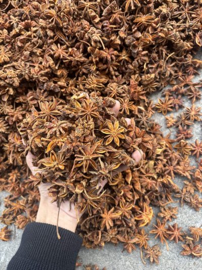 spice_26419_f5c10faf_1.jpg