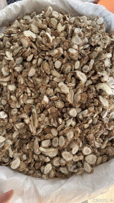 spice_26420_440e690b_3.jpg