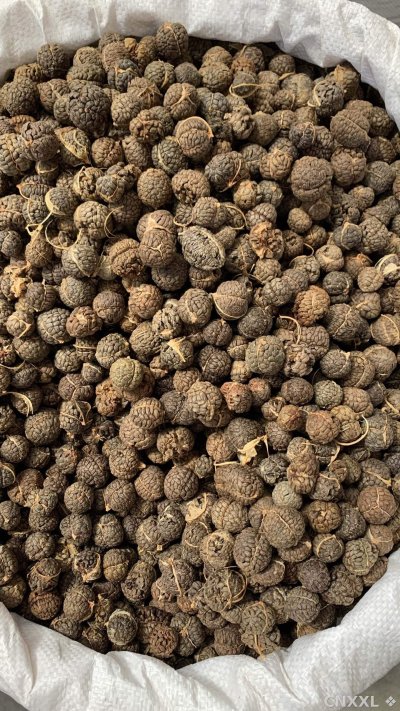 spice_26426_dfc5ebc2_3.jpg