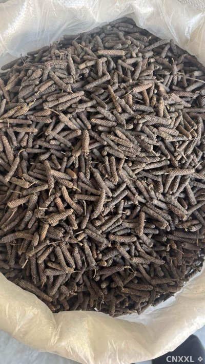 spice_26458_b9b8e02f_3.jpg