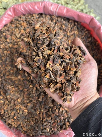 spice_26466_0800ea21_1.jpg