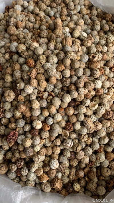 spice_26476_b5656365_3.jpg