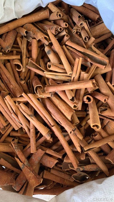 spice_26480_291d0475_3.jpg