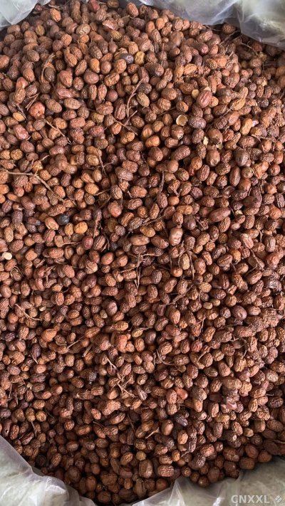 spice_26481_70b399f4_3.jpg