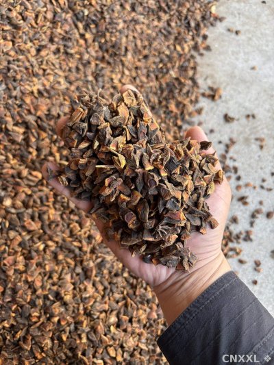 spice_26489_5fadec4c_1.jpg