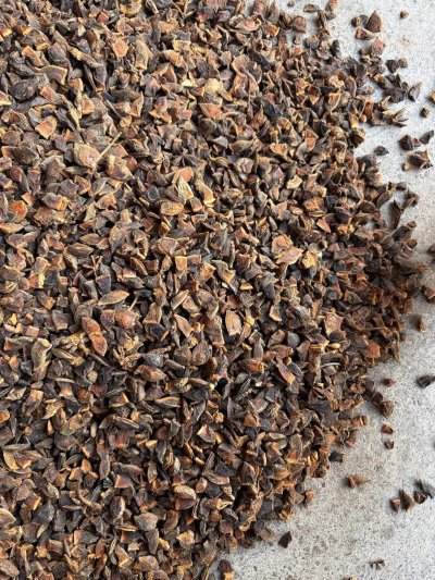 spice_26489_cf7dfd46_3.jpg
