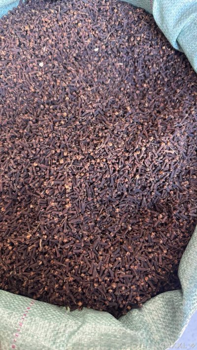 spice_26495_0c86d5d0_3.jpg