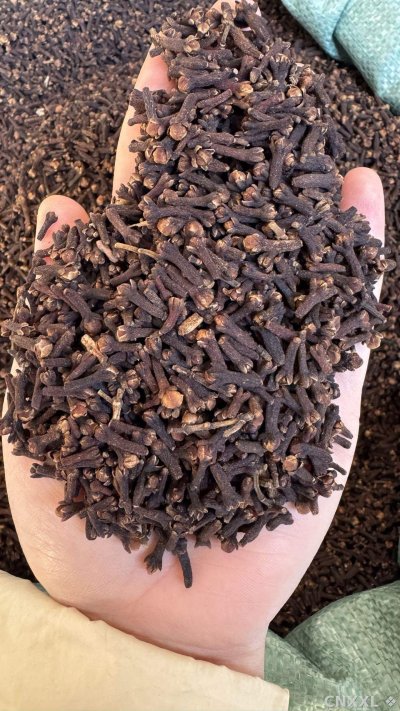 spice_26495_ba4f21c6_1.jpg