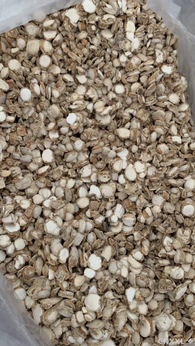 spice_26502_7aaa09bf_3.jpg