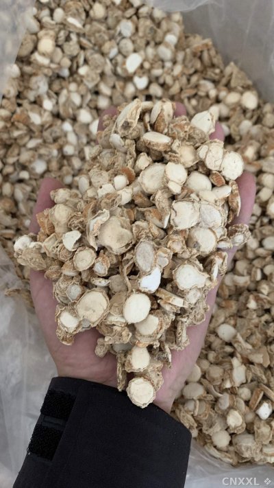 spice_26502_8d53d966_1.jpg