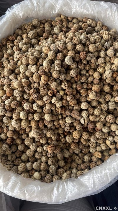 spice_10153_965ca72b_3.jpg