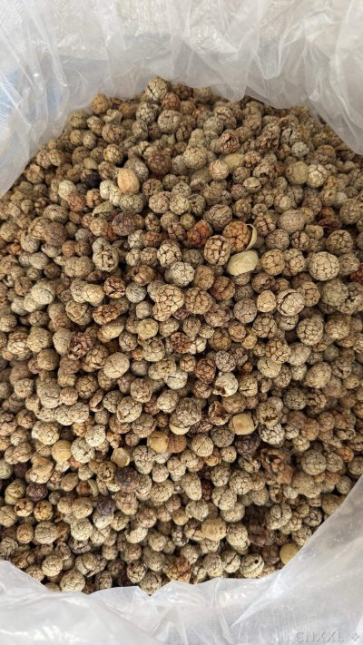spice_10154_a22d3c85_3.jpg