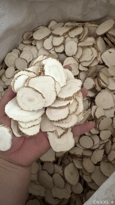 spice_10720_dbfaa655_1.jpg