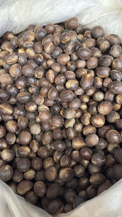 spice_12692_2a8813d6_3.jpg