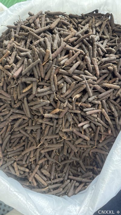 spice_13265_fcc784dc_3.jpg