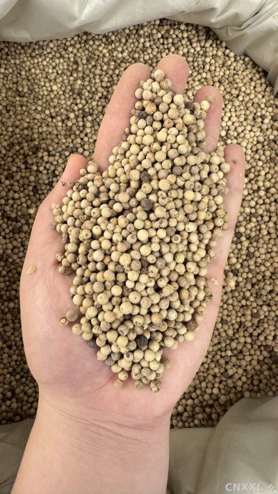 spice_1407444_c27d95ca_2.jpg