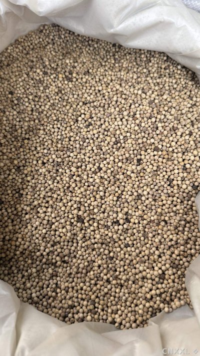 spice_1407444_e6de52e8_3.jpg