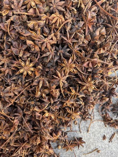 spice_14168_7c269f65_3.jpg