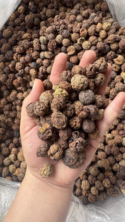 spice_14835_2abf4c35_1.jpg
