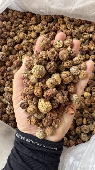 spice_14836_dba8e4c5_2.jpg