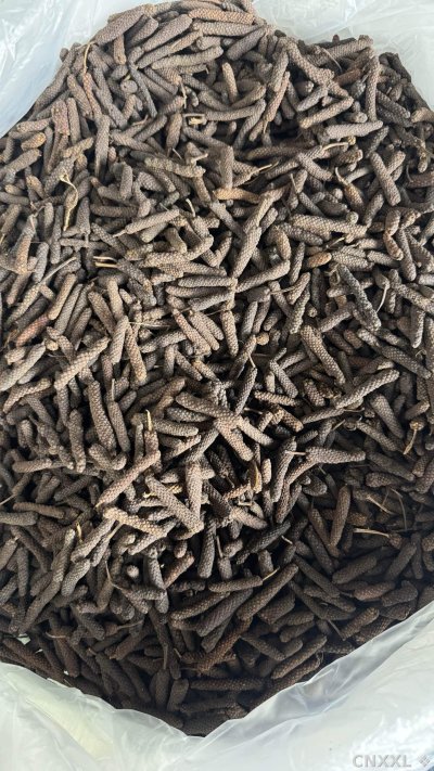 spice_18532_4ceb9875_3.jpg