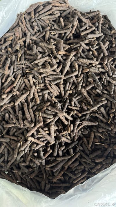 spice_18532_6c10c9d3_2.jpg