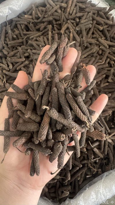 spice_18532_75f703c0_1.jpg